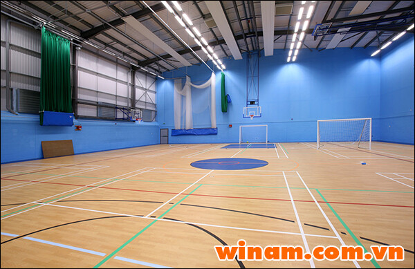 Winam cung cấp Sàn nhựa PVC cho sân thể thao trong nhà